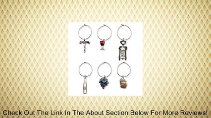 下载视频: Wine Icons - My Glass� Charms Review