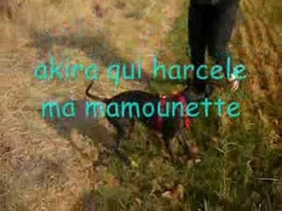 Mon coeur ce lache