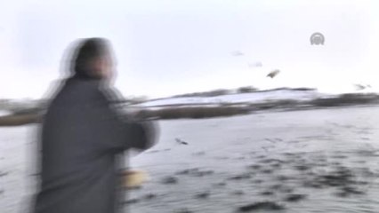 Gölbaşı'nda Kuşlar İçin "Bayat Ekmek Toplama Kampanyası"