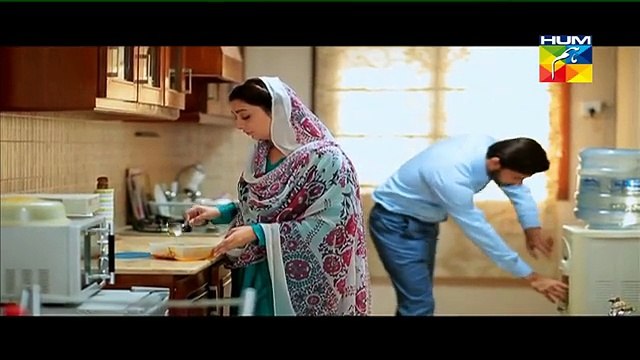 Mehram Episode 17 Full High Quality Hum TV 8 January 2015