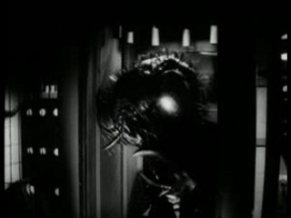 B.A. le retour de la mouche/ the return of the fly