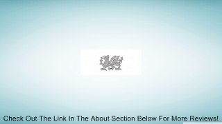 Welsh Dragon Cut-out Tie Tac Review