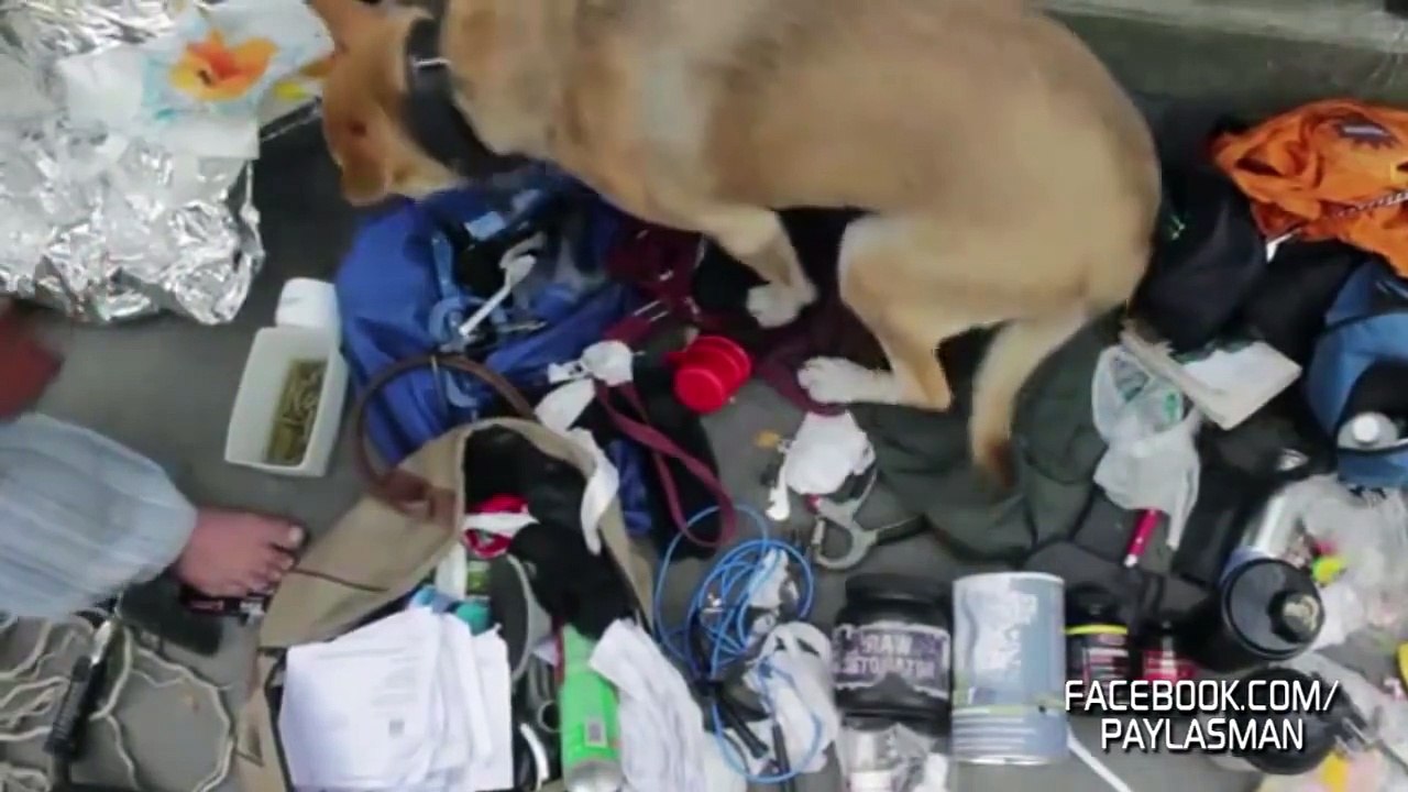 Vücut Geliştirme Yapan Evsiz