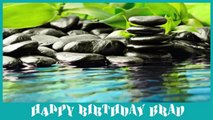 Brad Birthday Spa - Happy Birthday