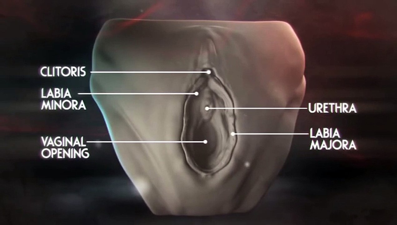 Animation of what happens during Female Genital Mutilation
