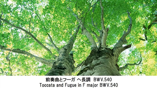 J.S.バッハ・オルガン曲集・J.S.Bach Organ Music Collection（長時間作業用クラシックBGM）