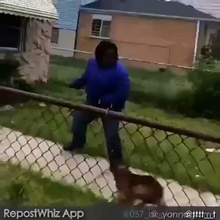 Chicago Man Fights Aggressive Dog And Throws It Over The Fence