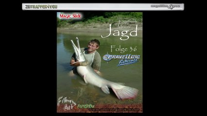 Tagebuch Meiner Jagd Teil 36 Alligatorhechte