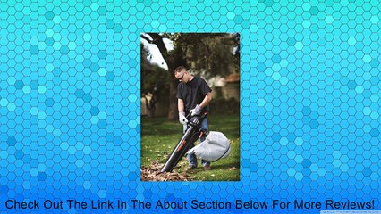 Remington RM1300 Mulchinator 12 Amp Electric Vacuum, Mulcher and Blower Combo Review