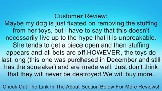 goDog Dinos Bruto Green Small with Chew Guard Technology Tough Plush Dog Toy Review