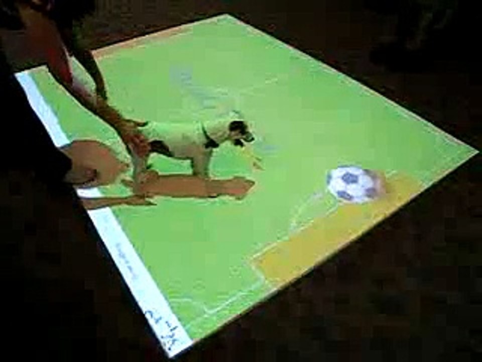 Dog Play game