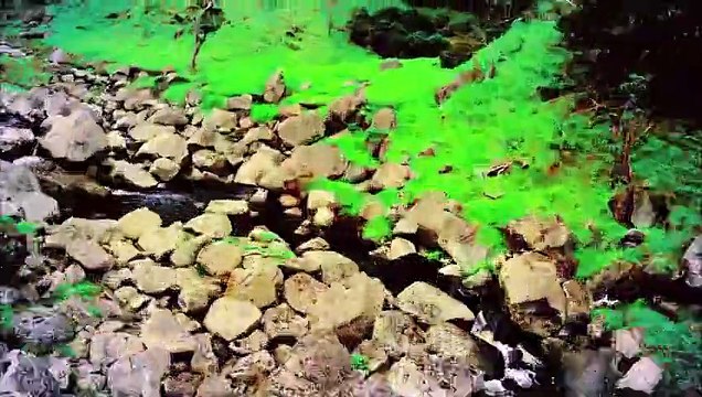 Nicki Minaj - Starships (Clean)