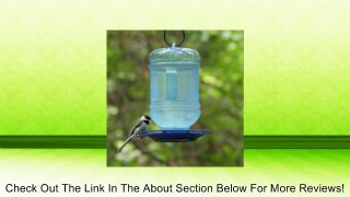 Perky-Pet Water Cooler Bird Waterer Review
