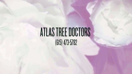Atlas Tree Doctors (615) 473-5782