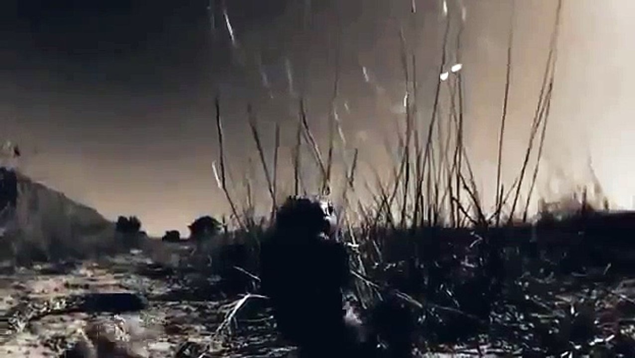 DOCU 025 Worlds Deadliest Animals History channel BBC documentary