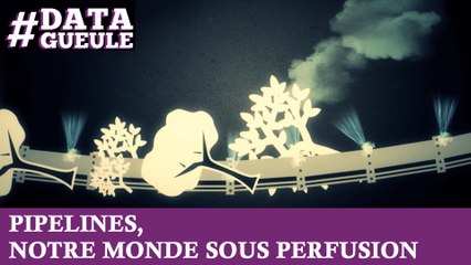 Pipelines, notre monde sous perfusion #DATAGUEULE 21