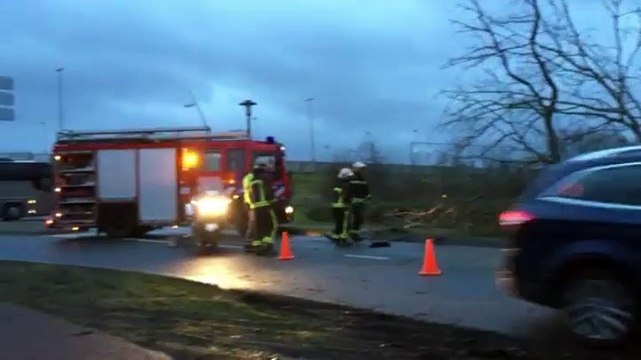 Boom waait over weg in Groningen - RTV Noord