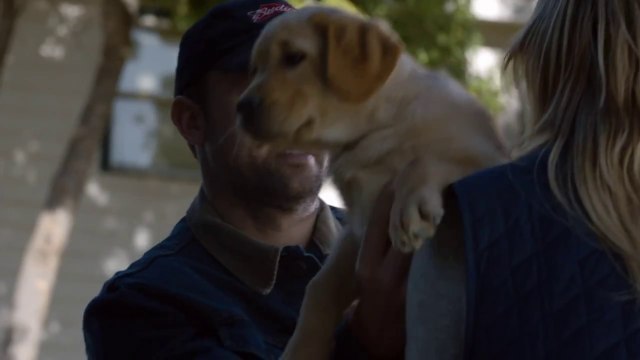 Budweiser Super Bowl XLVIII Commercial Puppy Love