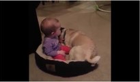 Köpekle bebeğin sevimli kavgası