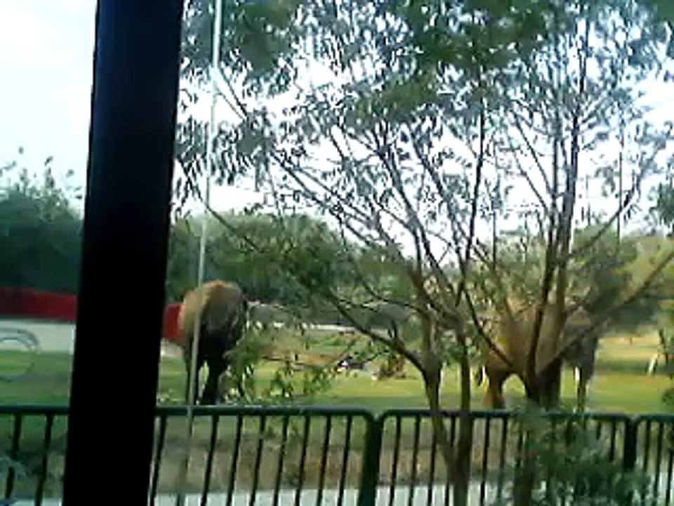 Saffari park Karachi