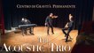 The Acoustic Trio - Centro di Gravità Permanente