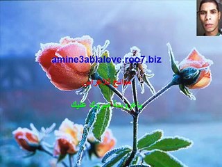 مدائح للأعراس ياعروسة مبروك عليك