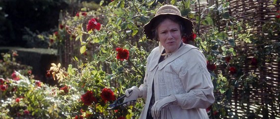 Effie Gray Film