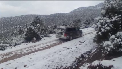 Burdur'da Yaralı Şahin Tedavi Edilerek Doğaya Salınacak