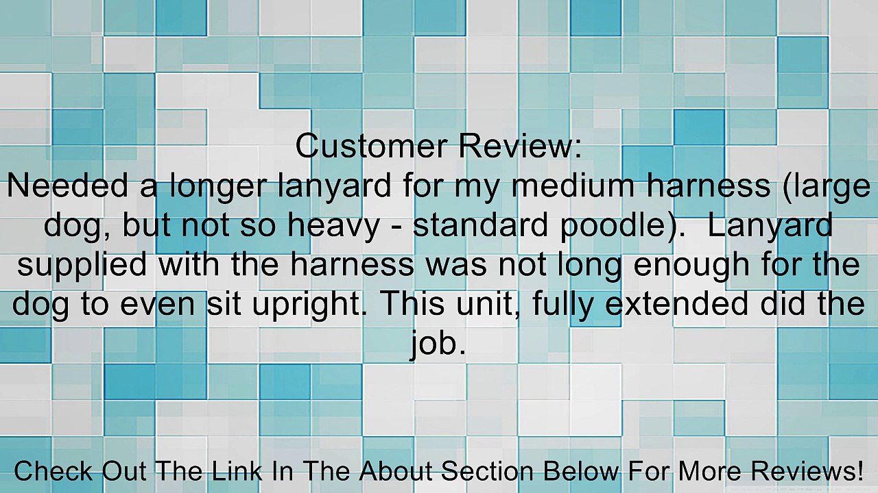 Replacement Dog Tether Review