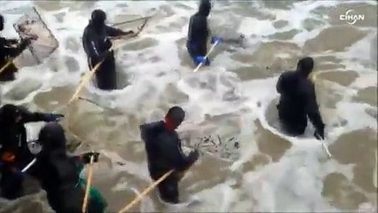 Rus balıkçılar Kaliningrad kıyısında amber avında