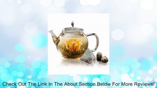 Tea Posy Celebrate Tea Gift Set Review