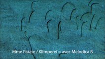 Madame Patate - Klimperei = avec Melodica B