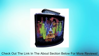 GloFish 29045 Aquarium Kit with Blue LED light, 5-Gallon Review