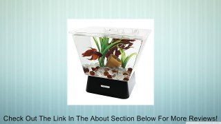 Tetra 29050 LED Betta Tank, 1-Gallon Review