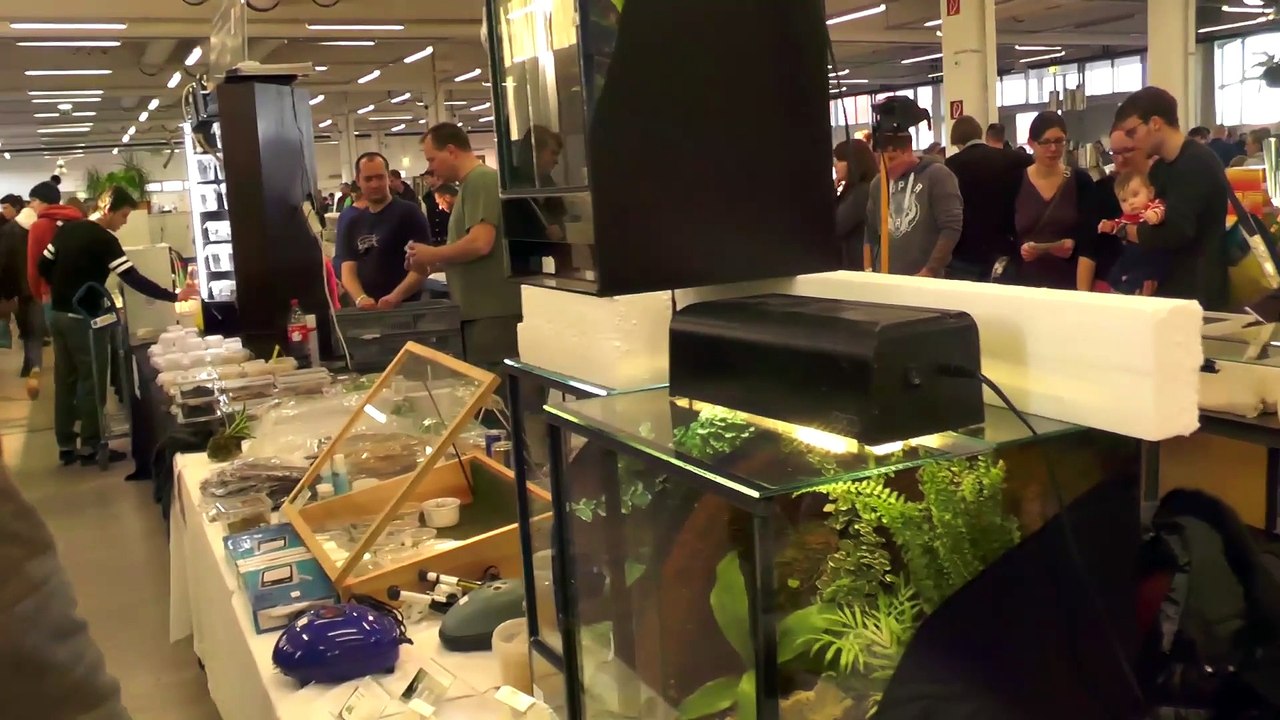 Excotic messe rundgang