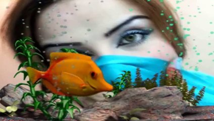 Da Ranga Khukuley - Neelo 2014 - Pashto New Songs 2014