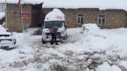 Domuzun Saldırdığı Kişi Yaralandı