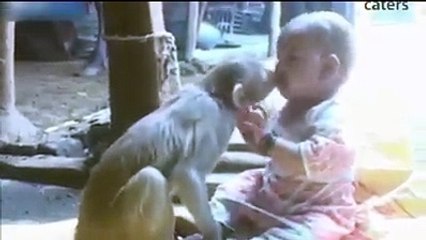 "طرزان" ليس أسطورة.. صداقة غريبة بين رضيعة وقرد