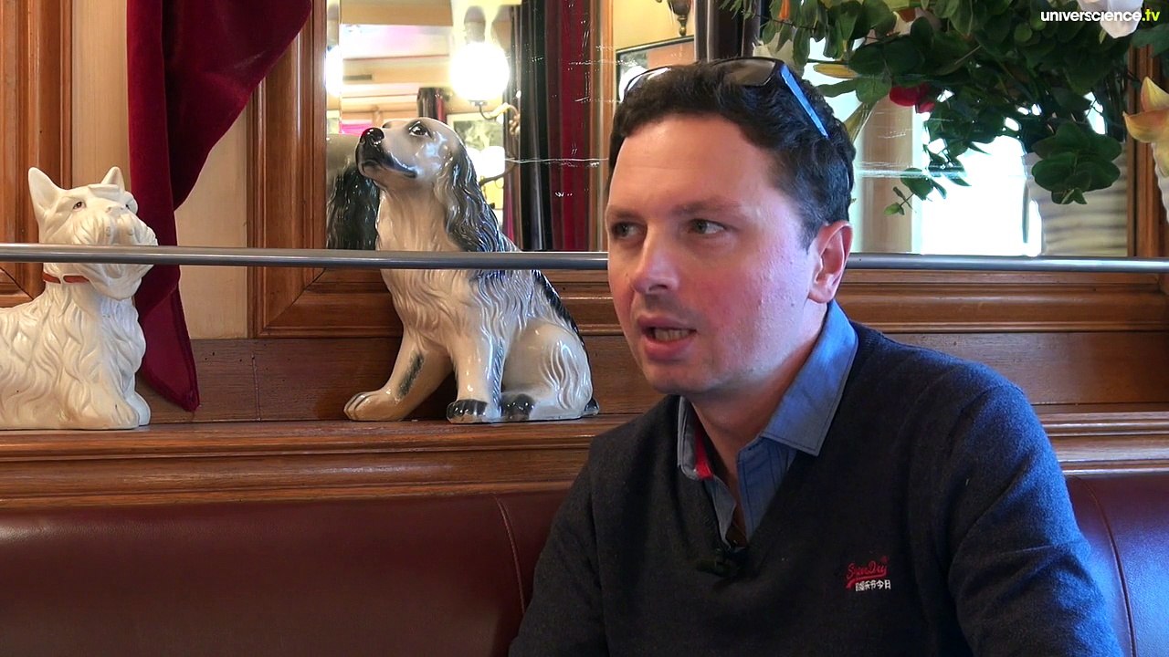 L'intelligence des mouvements collectifs