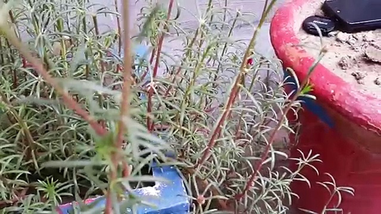 Sony Xperia Z2 vs Samsung Galaxy Note 4 1080p Video Audio Test HD