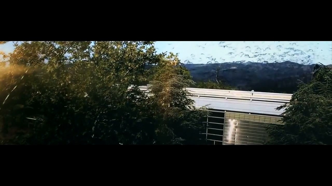 Trademark - Found It All (Music Video)