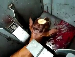 don't buy pack meat from Unreliable markets. Many times it is haram.