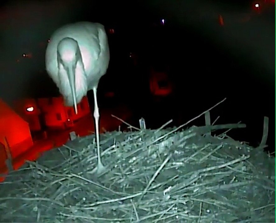 09.01.2015  de pied ferme ? / standhaft ?