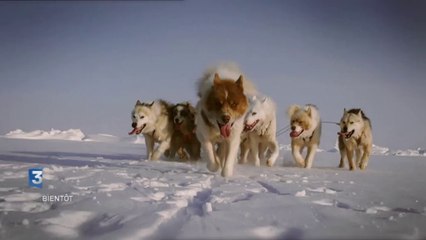 Thalassa en Arctique - Bientôt sur France 3
