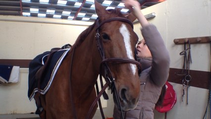 Les chevaux de Chloé