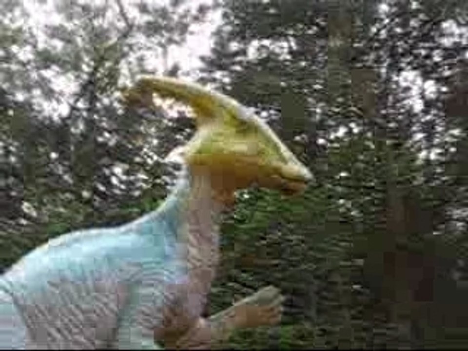 BAPSEA 4