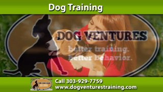 Dog Training Thornton, CO | Dog Ventures Call 303-929-7759