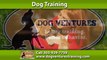 Dog Training Thornton, CO | Dog Ventures Call 303-929-7759