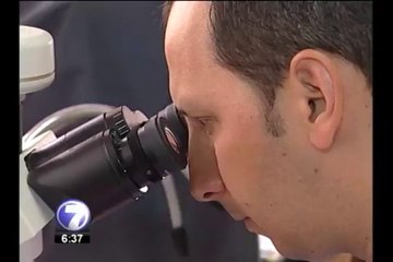 Centroamérica se une para luchar contra la roya del café