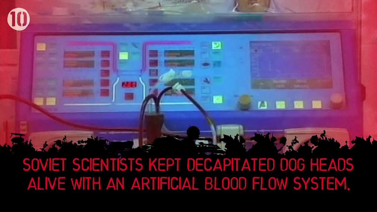 10 Disgusting Facts About Blood